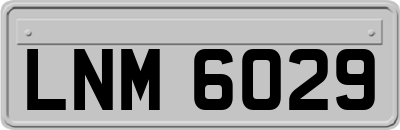 LNM6029