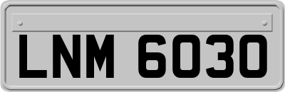 LNM6030