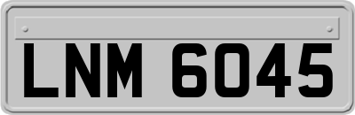 LNM6045