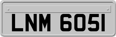LNM6051