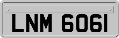 LNM6061