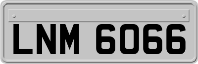 LNM6066