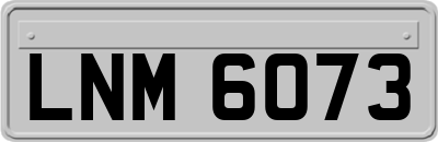 LNM6073