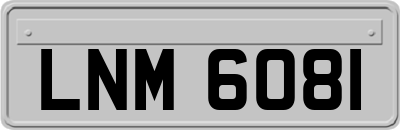 LNM6081