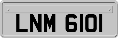 LNM6101