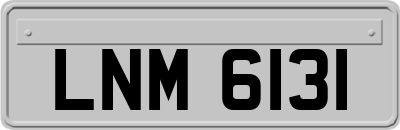 LNM6131