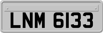 LNM6133