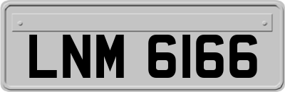 LNM6166