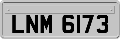 LNM6173