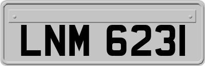 LNM6231