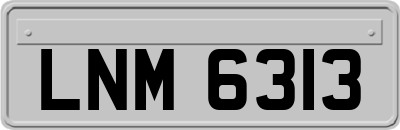 LNM6313