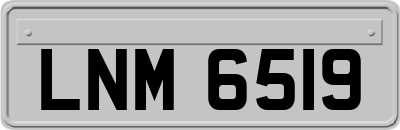 LNM6519
