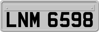 LNM6598