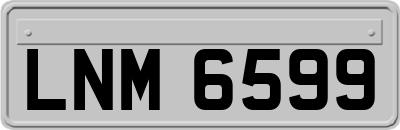 LNM6599