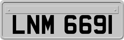 LNM6691