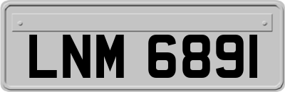 LNM6891