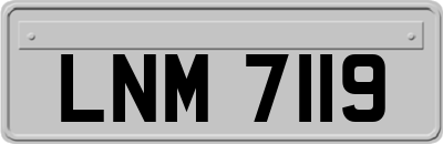 LNM7119