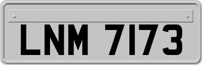 LNM7173