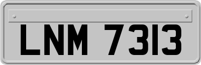 LNM7313