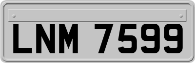 LNM7599