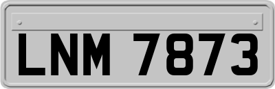 LNM7873