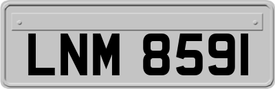 LNM8591