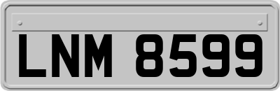 LNM8599