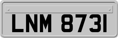 LNM8731