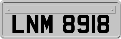 LNM8918