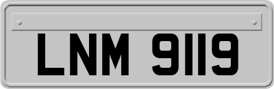 LNM9119
