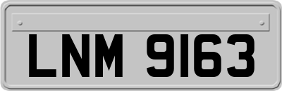 LNM9163