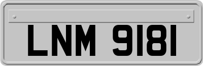 LNM9181