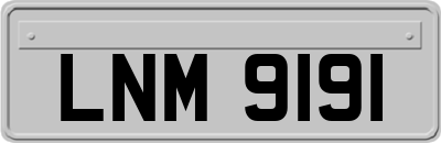 LNM9191