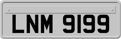 LNM9199