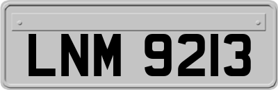 LNM9213