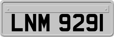 LNM9291
