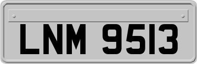 LNM9513