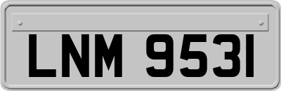 LNM9531