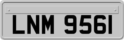 LNM9561