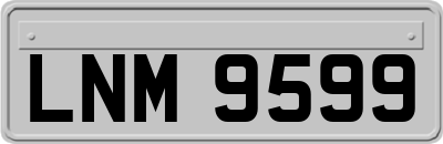 LNM9599