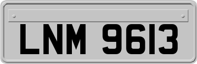 LNM9613