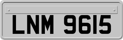 LNM9615