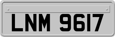 LNM9617