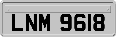 LNM9618