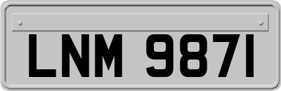 LNM9871