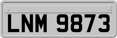 LNM9873