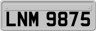 LNM9875