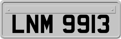 LNM9913