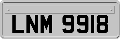 LNM9918