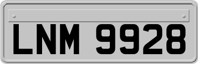 LNM9928